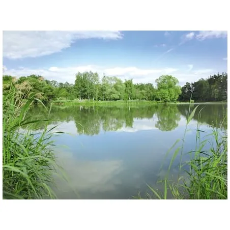 Miele Vaatwasserpakket