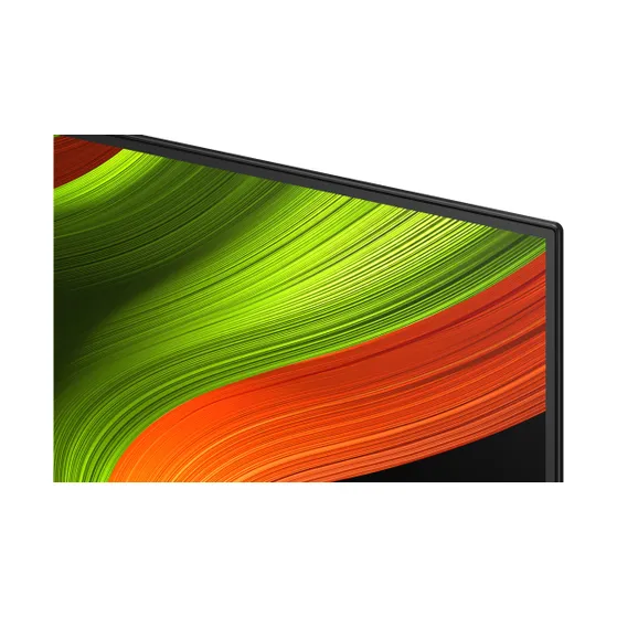 LG OLED 4K 55B56LA (2025)