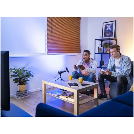 Trust GXT 232 Mantis Microfoon - Gaming & Streamen Zwart