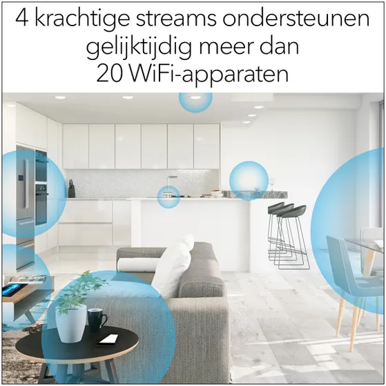 Netgear EAX15-100PES