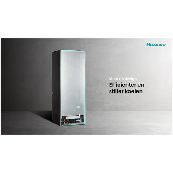 Hisense RB390N4BCC Wit