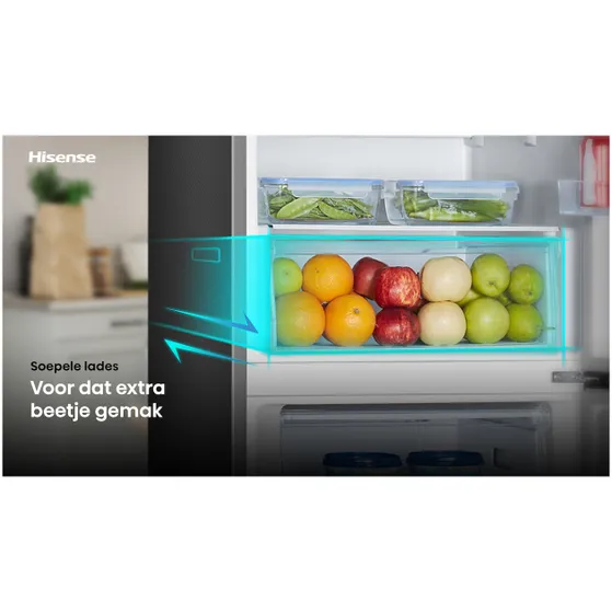 Hisense RB390N4BFC Zwart