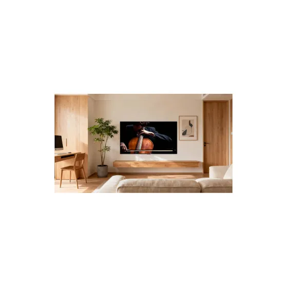 TCL 55P6L (2026)