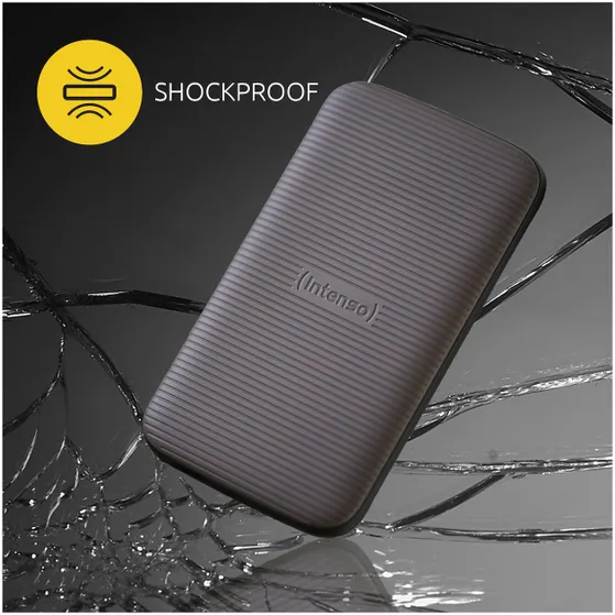 Intenso External SSD TX500 500GB Bruin