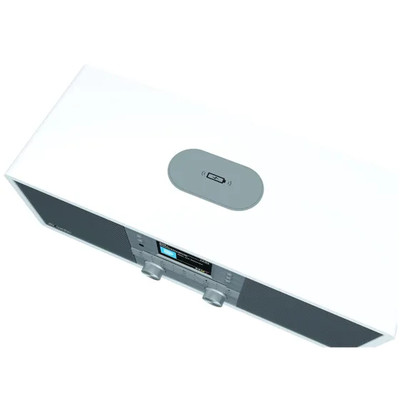 TechniSat Digitradio 650 Wit/zilver