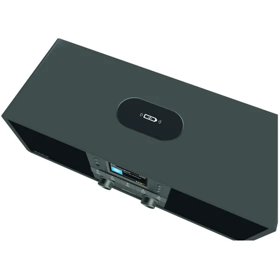 TechniSat Digitradio 650 Antraciet