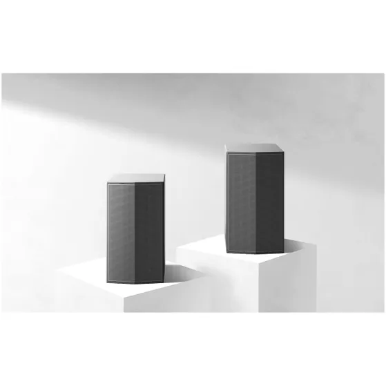 LG SPT8-S (rear speakers)