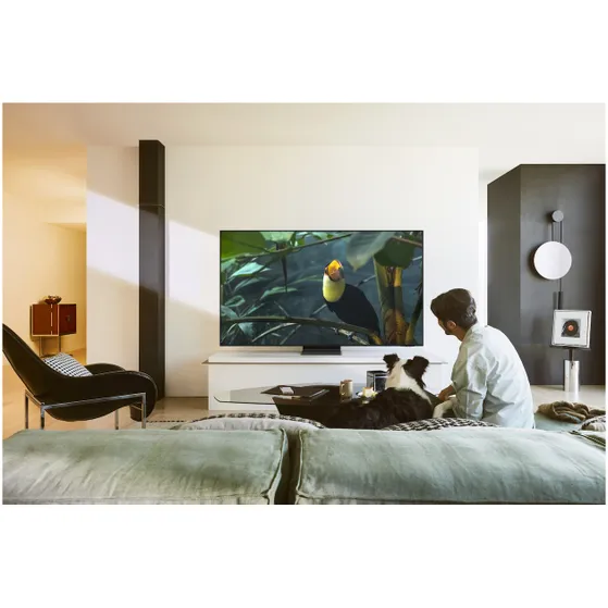Samsung OLED 4K 77S95F (2025)