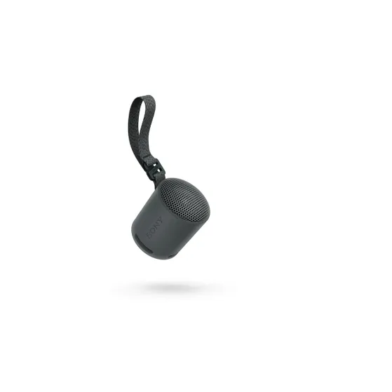 Sony SRS-XB100 Zwart
