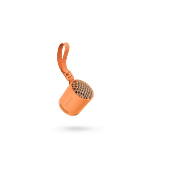 Sony SRS-XB100 Oranje