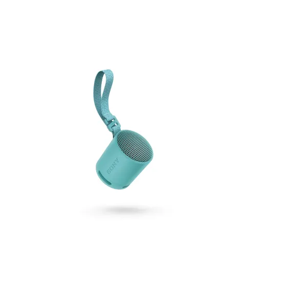 Sony SRS-XB100 Blauw