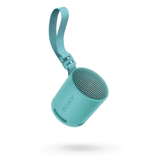Sony SRS-XB100 Blauw