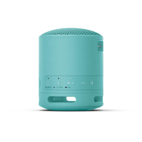 Sony SRS-XB100 Blauw