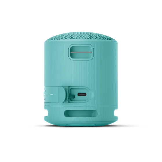Sony SRS-XB100 Blauw