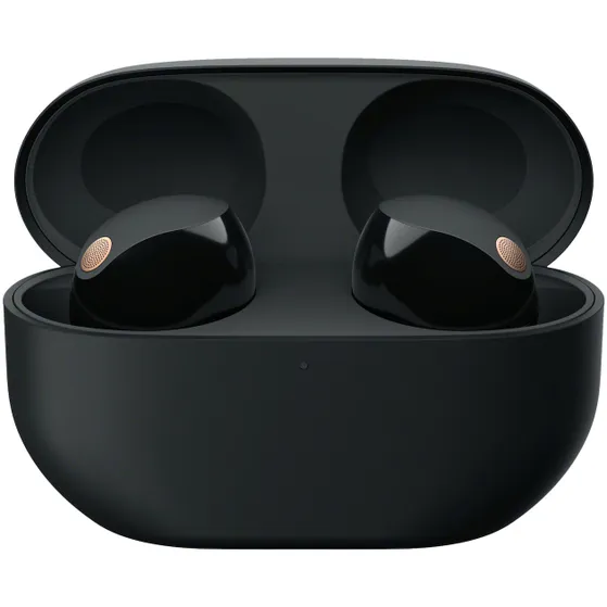 Sony WF-1000XM5 Zwart