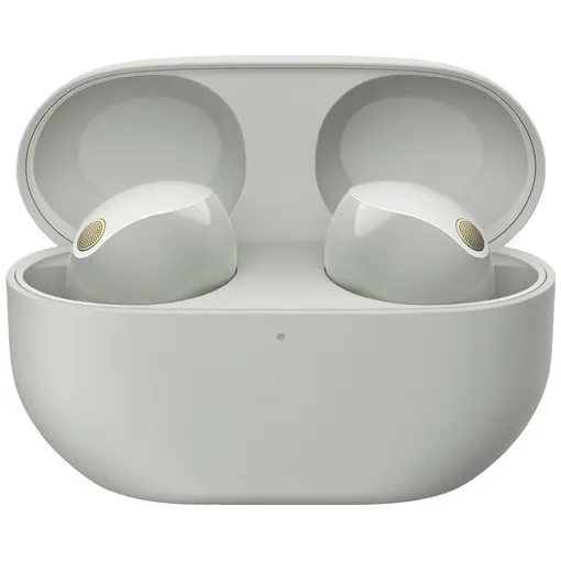 Sony WF-1000XM5 Zilver