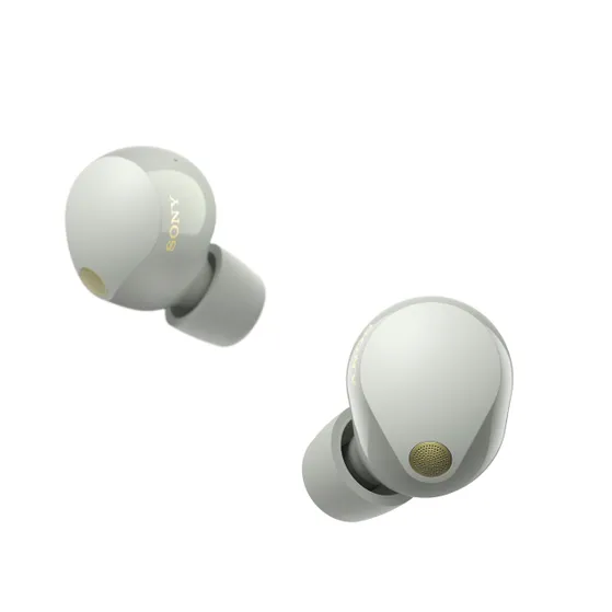 Sony WF-1000XM5 Zilver