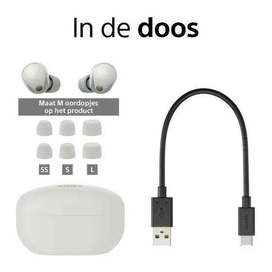 Sony WF-1000XM5 Zilver