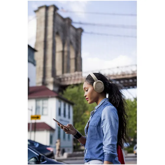 JBL Tune 730BT Bruin