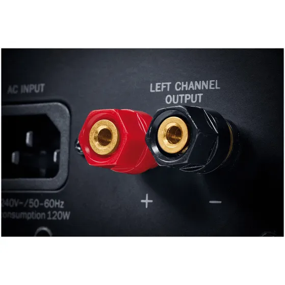 Magnat Monitor Reference 2A per paar Zwart