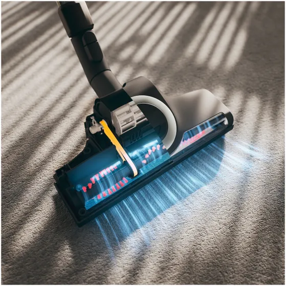 Miele Blizzard Cat & Dog Flex Powerline Grafietgrijs