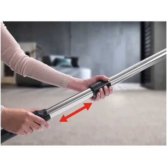 Miele Blizzard Cat & Dog Flex Powerline Grafietgrijs