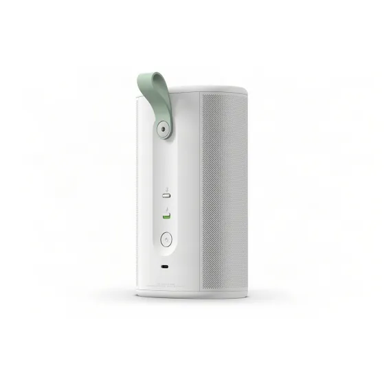 Sonos Play Wit