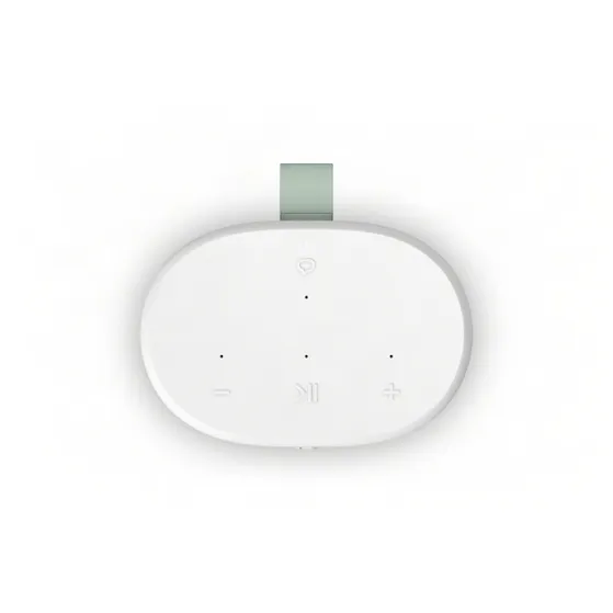 Sonos Play Wit