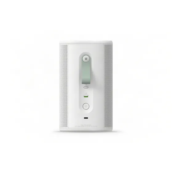 Sonos Play Wit