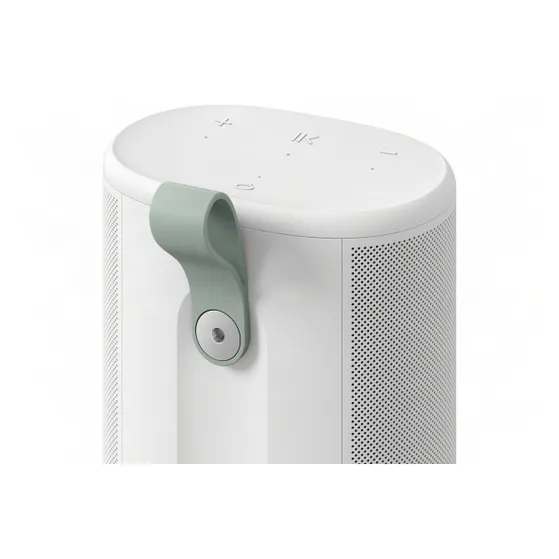 Sonos Play Wit