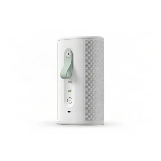 Sonos Play Wit