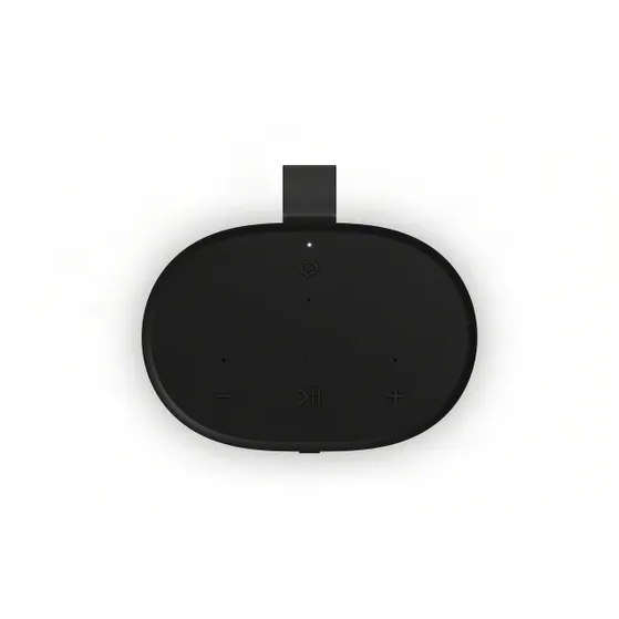 Sonos Play Zwart