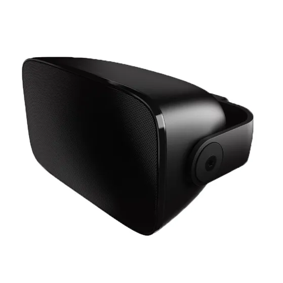 Bowers & Wilkins AM-1 PER PAAR Zwart