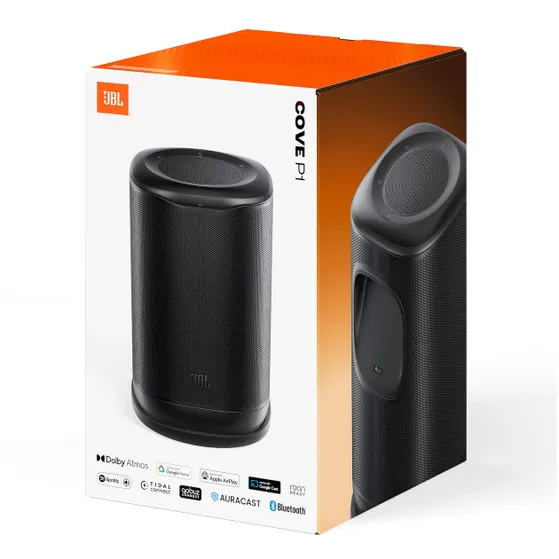 JBL Cove P1 Zwart