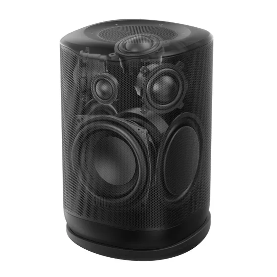 JBL Cove P1 Zwart