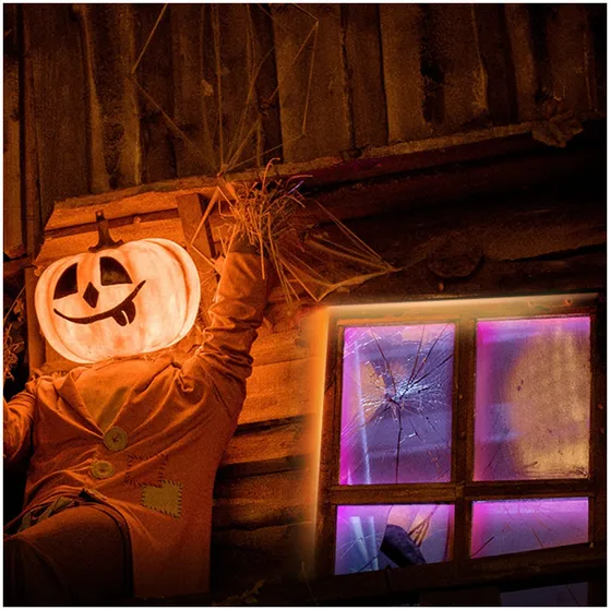 Tapo L920-5 Smart wifi-lichtstrip Multi-color