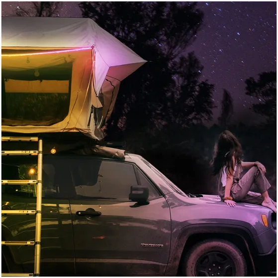 Tapo L920-5 Smart wifi-lichtstrip Multi-color