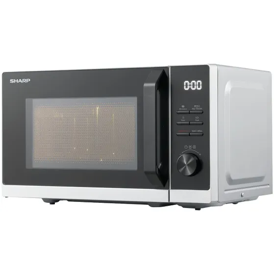 Sharp RCS201TS Zilver