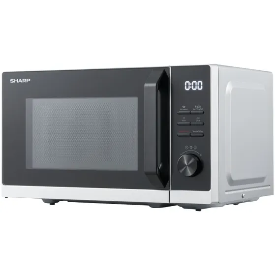 Sharp RCS201TS Zilver