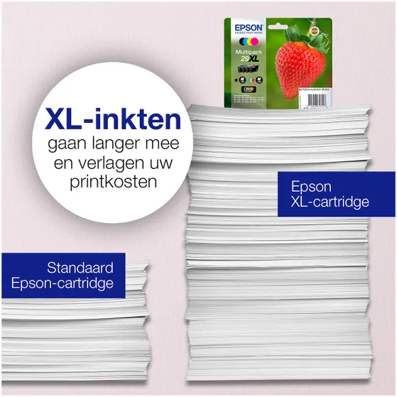 Epson T2981 Cartridge Zwart