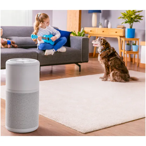 Beko ATP6100i Wit