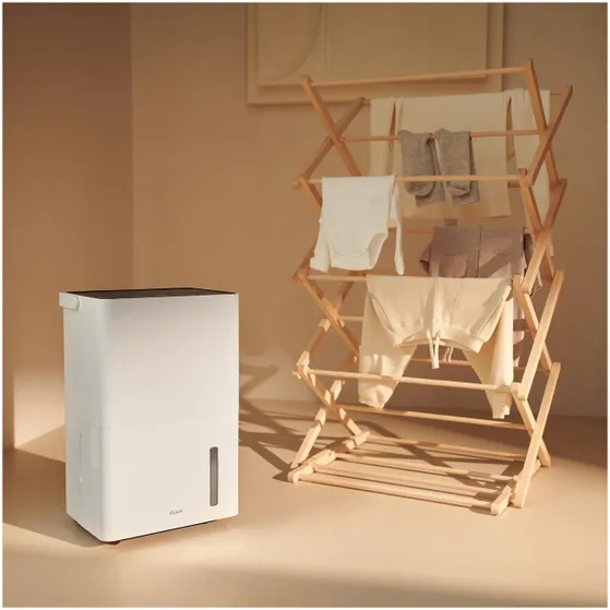 Duux Bora Smart Dehumidifier 20 liter DXDH20