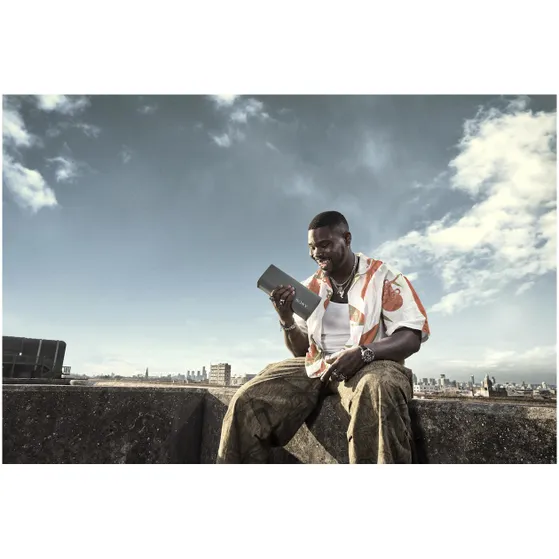 Sony ULT Field 3 Grijs