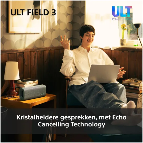 Sony ULT Field 3 Grijs