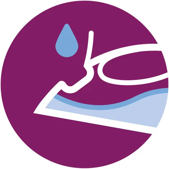 Philips GC1744/20 Blauw