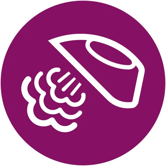 Philips GC1744/20 Blauw