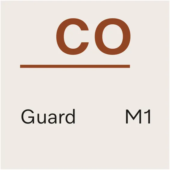 Miele HyClean Pure CO