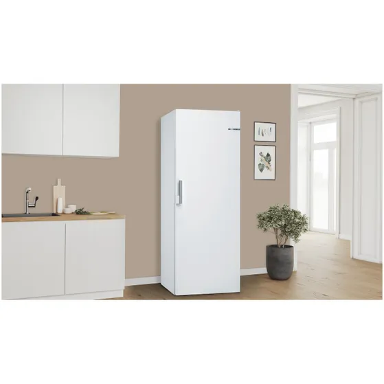 Bosch GSN58DWDV