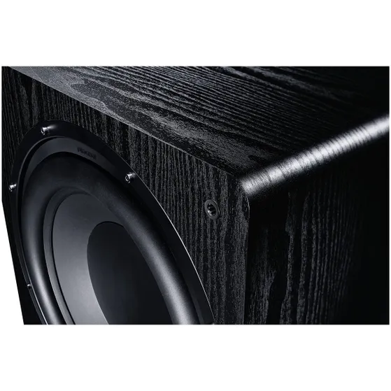 Magnat Alpha RS 12 Zwart