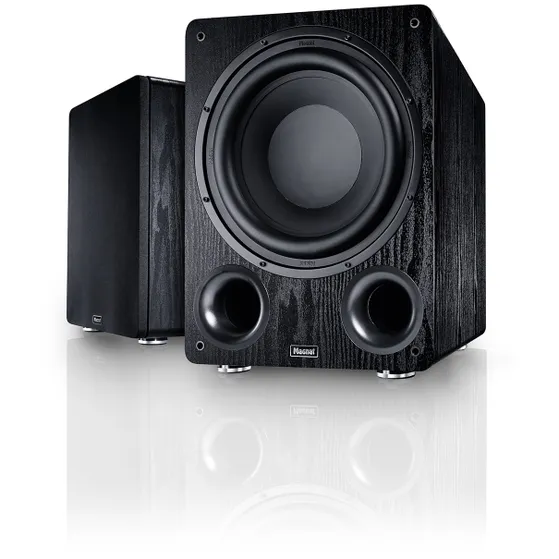 Magnat Alpha RS 12 Zwart